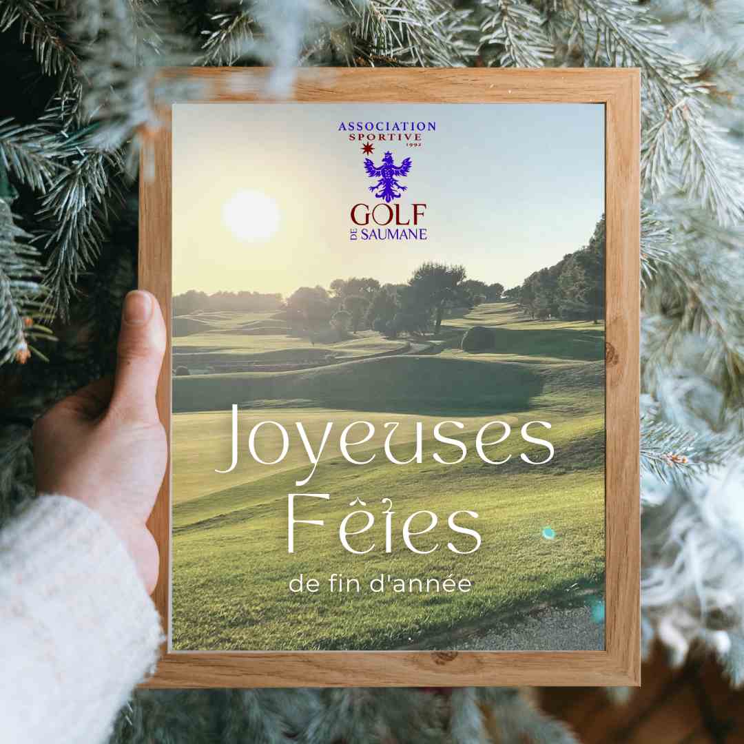 joyeusesfetesdefindannee